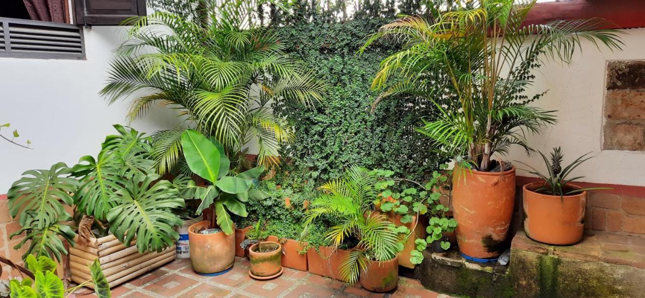 Villa Del Prado ميديلين المظهر الخارجي الصورة